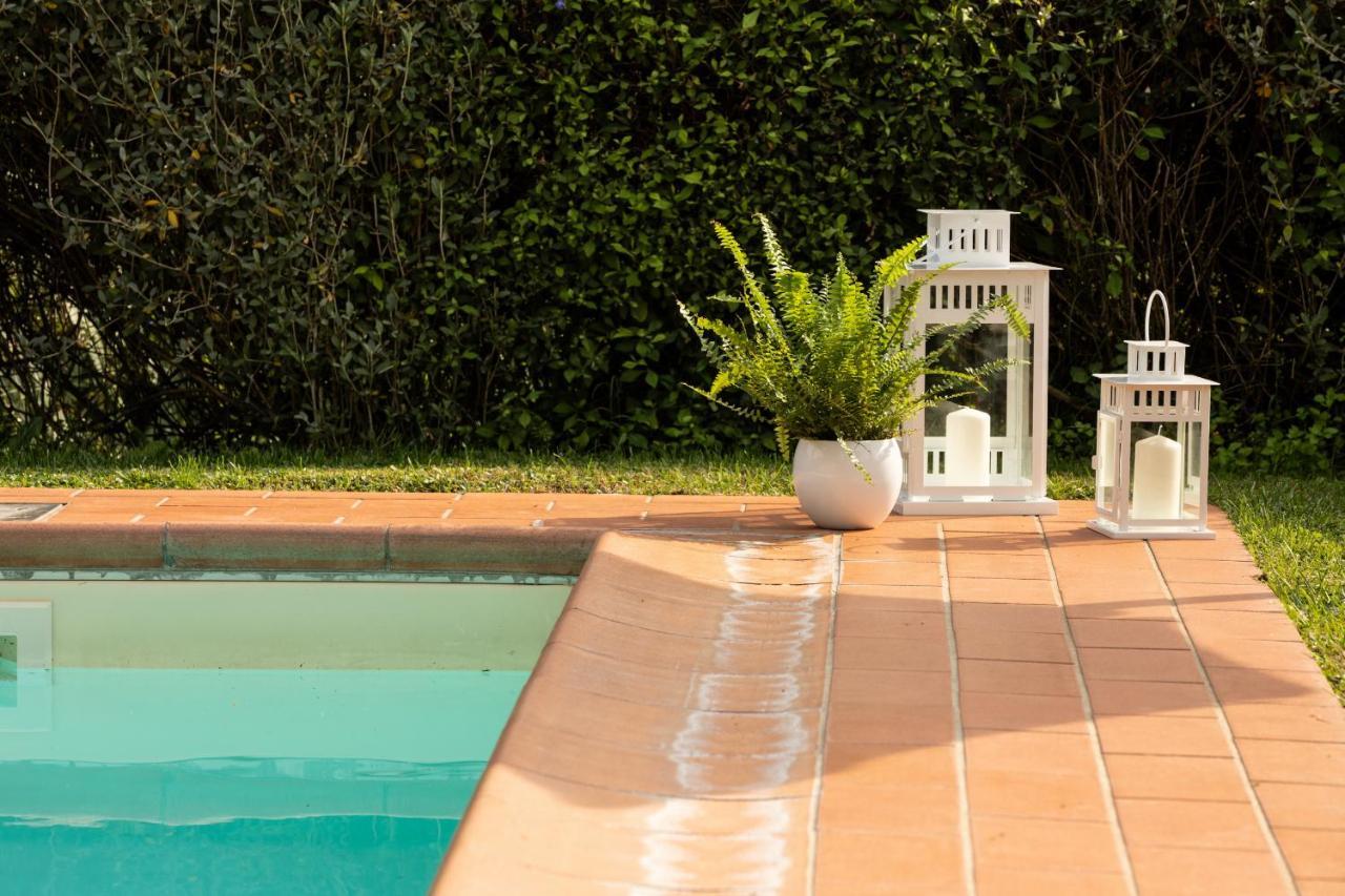 Casetta Di Butia, Ginestra Apartment With Swimming Pool Борго-а-Моццано Экстерьер фото