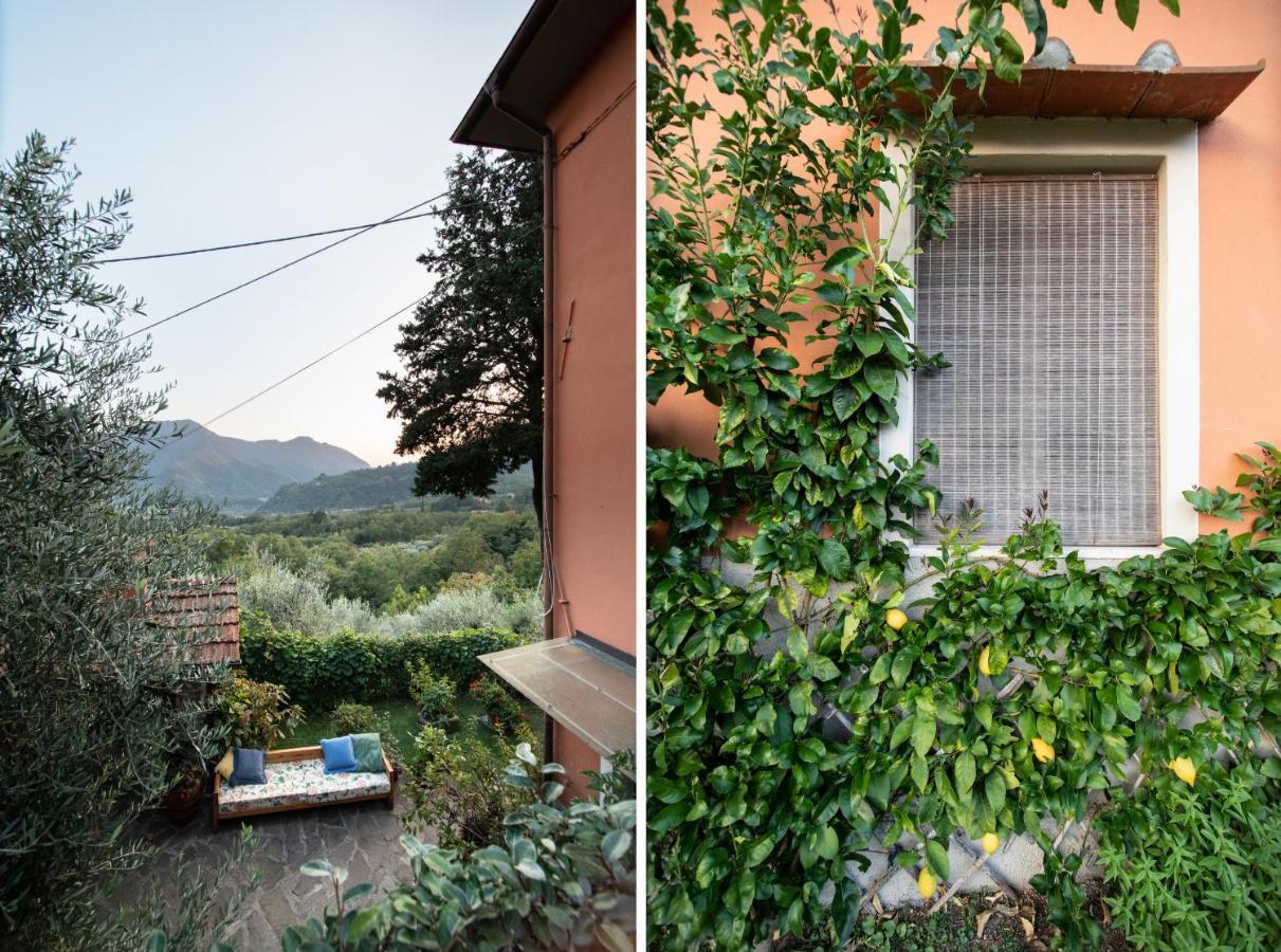 Casetta Di Butia, Ginestra Apartment With Swimming Pool Борго-а-Моццано Экстерьер фото